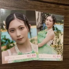 Item thumbnail for item e9e035e7-7472-4642-aea9-0f159e555f9d