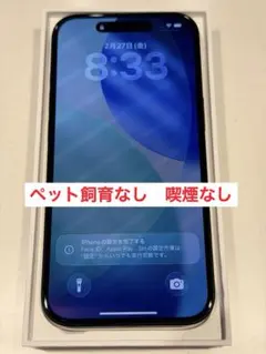 美品　iPhone15 256GB ブラックAppleモデル　SIMフリー
