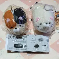 ごろねこサミット 第1回イトウ、第7回モリノの2点セット G103898315