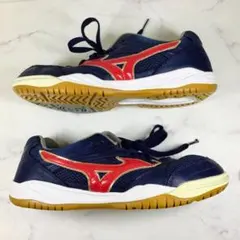 MIZUNO ミズノ 体育館 シューズ 25 バドミントン 卓球 バレーボール