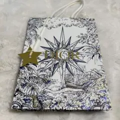 DIOR ホリデー限定 紙袋 ショッパー