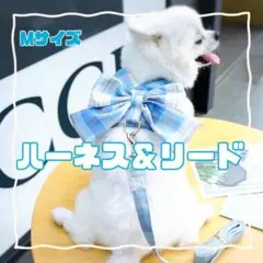 Item thumbnail for item 79a6db0b-3058-43e0-b687-e5b2cbcea4d0