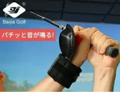 2026年最新】ツアープロスインガーの人気アイテム - メルカリ