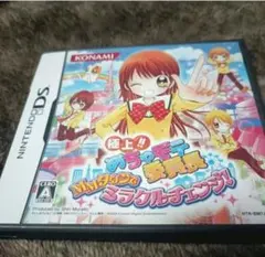 極上 めちゃモテ委員長 DS中古品