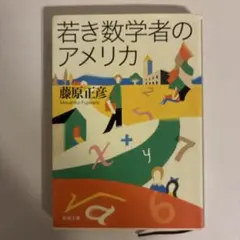 若き数学者のアメリカ