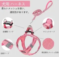 Item thumbnail for item eb1e3ab0-b336-4d92-8f61-d3608ed8a171