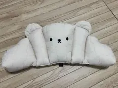 Item thumbnail for item 27863a12-5b69-4cea-b884-516c7af6483e