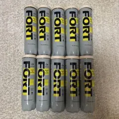 DUNLOP FORT テニスボール 10缶セット