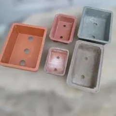 ⑧ミニ盆栽鉢 中国宜興 朱泥袋式長方鉢11cmx7.3cm x4.3cmおまけ付 盆栽鉢 泥鉢 朱泥 ミニ盆栽 3鉢 - メルカリ