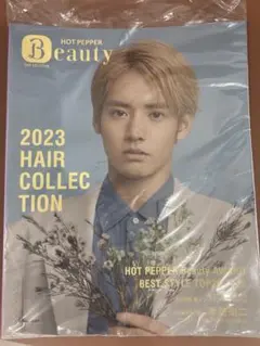 ホットペッパービューティー2023ヘアコレクション非売品永野芽郁　赤楚衛二 Amazon.co.jp: ホットペッパービューティー ヘアコレクション