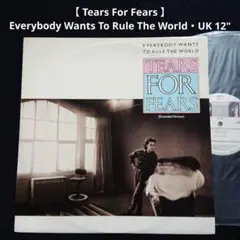 Tears For Fears – Everybody Wants.. 12"