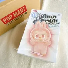 【新品・未開封】 ラブブ biginto energy ⇒ LUCK