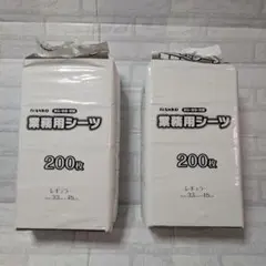 Item thumbnail for item e2095591-1397-4318-bf35-c7b5952397ed