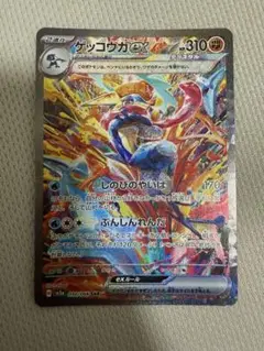 ゲッコウガ　SAR