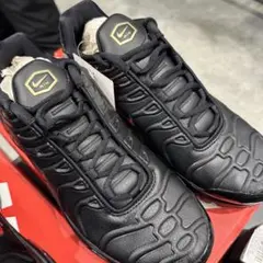 NIKE Air Max Plus Premium 黒金赤 25cm