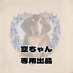 空ちゃんミニポーチ　専用出品