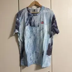 THE NORTH FACE x Supreme Tシャツ Lサイズ