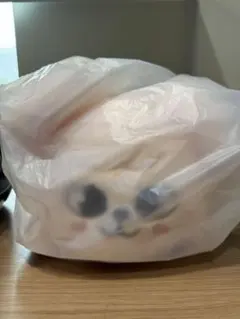 Straykids POPUP celebrATE スンミン　メンプロ