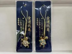 Item thumbnail for item fa807bf5-adae-4d5c-a9a5-58b5db83537b