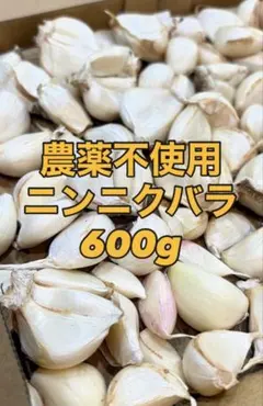 26年産 低農薬 生にんにくバラ 700g ホワイト6片 サイズ M~2L - メルカリ