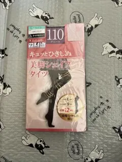 キュッとひきしめ　美脚シェイプタイツ　110デニール　2足組　L〜LL