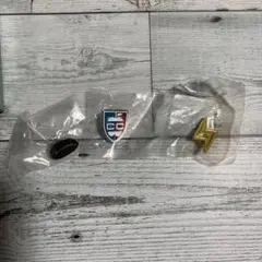 スパイファミリー ピンバッジセット