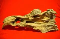 む*う様 流木インテリア（34x12x9cm、453g）