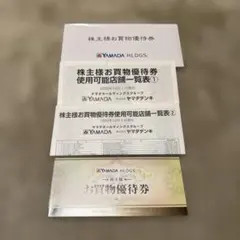 YAMADA HLDGS. 株主優待券