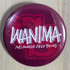 美品＊WANIMA 缶バッジ ワニマ ライブ フェス グッズ