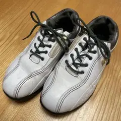 Item thumbnail for item e20ba598-48c1-4538-8af2-4c6d4e200698