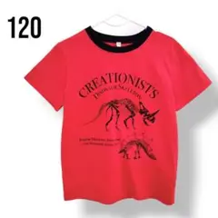 恐竜 骨格 Tシャツ 120 レッド 赤 トップス 男の子 ディノサウルス