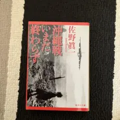 沖縄戦いまだ終わらず