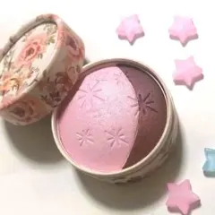 PAUL & JOE アイカラー CS 116