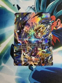 2026年最新】レアリティ：SR(パラレル) ドラゴンボールカード_