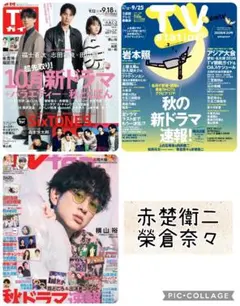 TV誌3誌　赤楚衛二　榮倉奈々　切り抜き