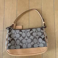 COACH シグネチャー ハンドバッグ グランジ フェアリーグランジ - メルカリ