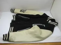 Item thumbnail for item 03ce21ac-c6ff-43ff-a08a-0a9ad2ca2ad0