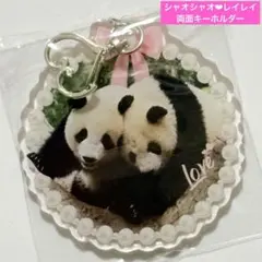 シャオシャオ レイレイ レジンキーホルダー　シャオレイ　中国雅安　上野双子パンダのサムネイル
