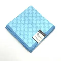 Item thumbnail for item bc30c364-3ed4-4007-b3e6-60b61ff449b0