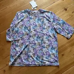 Item thumbnail for item cb4033e9-9ed0-47ad-9130-86c8d3f6065b