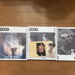 JIN ECHO CD３形態セット