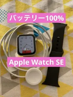 最大容量 100 Apple Watch SE 初めてセット　スタート