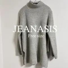 JEANASIS ジーナシス 5G ワイドリブハイネックニット グレー F