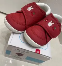 Item thumbnail for item 06f1d1cb-b1c2-437b-8c1c-701a0530a1ea