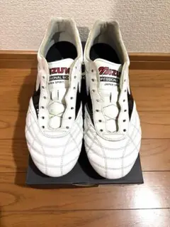 た*し様 モレリア2 JAPAN クロスステッチ　2025年モデル　25.5