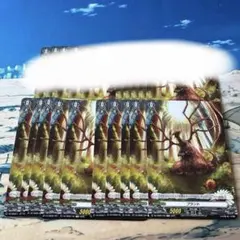 ヴァンガード　プラント・トークン 10枚　エスタシオン　①