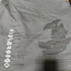 LAHM 루어 앵글 비치 그래픽 티 XXL 세트