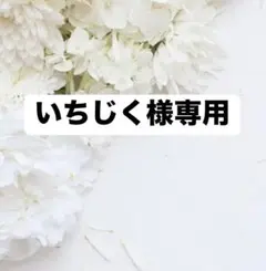 いちじく様専用/チェキ