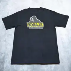 エクストララージ X-LARGE 廃盤品 ブラック Tシャツ ビッグシルエット