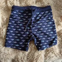 Item thumbnail for item e42face6-d40f-4f4a-b145-31c9ae5dcb2e